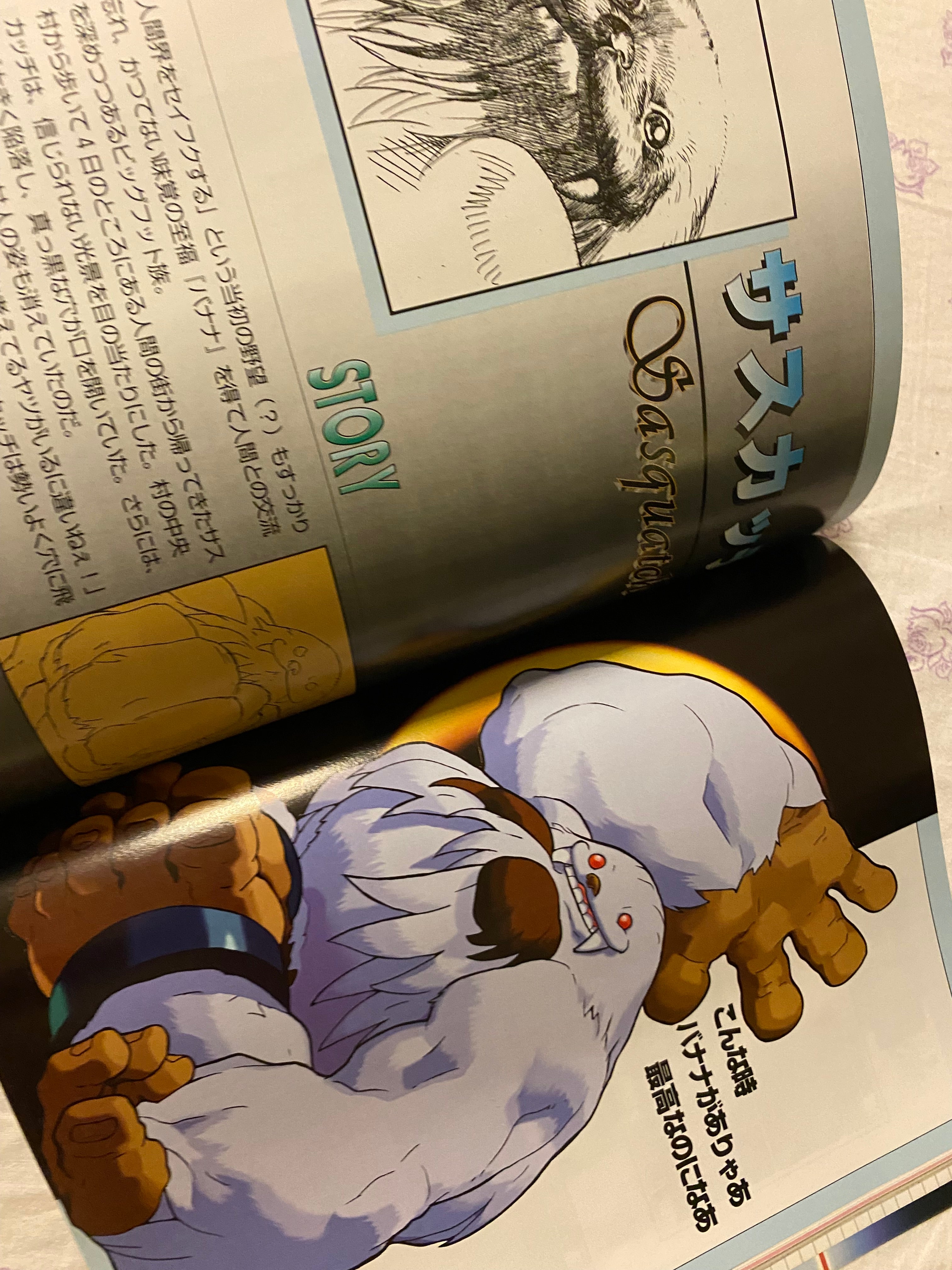 Vampire Saviour - Gamest Mook Vol. 77