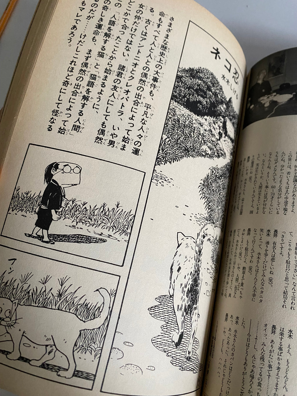 Monthly GARO 373 March 1996