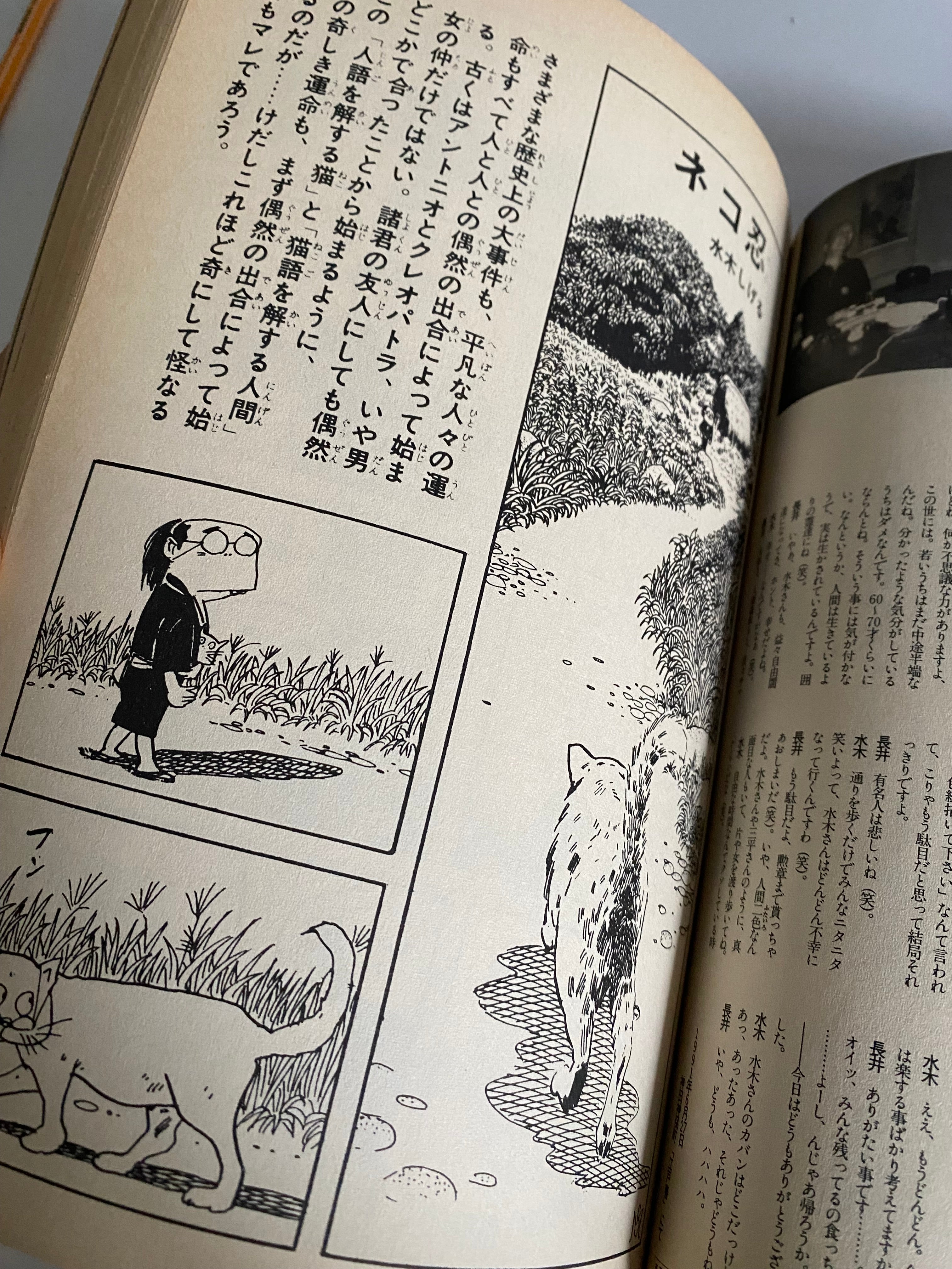 Monthly GARO 373 March 1996